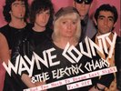 Wayne County and the Electric Chairs I Had Too Much To Dream Last Night 7