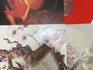 Kali Uchis - Red Moon in Venus gatefold red vinyl + Orquídeas milky clear vinyl