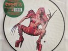 Lady Gaga ‎– Chromatica Limited Edition Picture Disc LP Vinyl Record
