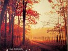 EVA CASSIDY- Acoustic, 20 of the Best Live 2-LP (NEW 2021 Vinyl) songbird etc