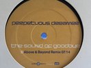 Perpetuous Dreamer - The Sound Of Goodbye 12