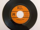 PRINCE AND THE PAUPERS  - rock GARAGE PUNKY  60's MINNESOTA - VERY RARE