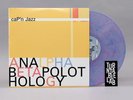 Cap’n Jazz Analphabetapolothology 2 LP Blue/Pink Swirl 051/500 SOLD OUT