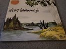 Albert Hammond Jr - Yours To Keep vinyl LP record RARE and OOP rsd the strokes