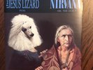 Nirvana/Jesus Lizard Split Single