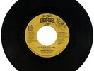 JAMES WALSH GYPSY BAND 