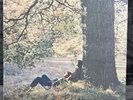 John Lennon / Plastic Ono Band | Japan Pressung LP Vinyl Schallplatte OIS Rock