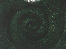 Trauma Ray - Chameleon (LP) (Mint Green)