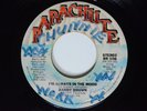 Modern Soul 45 RANDY BROWN I'm Always In The Mood PARACHUTE VG+ HEAR