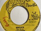 JOE WHITE Kenyata PANTHER Killer   Inst Roots + Melodica Reggae 7