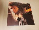 I've Got Everything by Henry Lee Summer (LP, 1989 CBS RECORDS) OZ 45124 SEALED