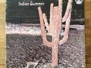 Indian Summer S/T Neon RCA ADRS-5344 US Stereo Rare Psych Prog LP