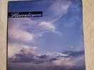 VTG Blue Vinyl Samiam SOAR  Limited Blue Haze Colored Vinyl Record LP