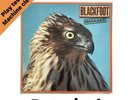 Blackfoot  - Marauder Vinyl Lp Record 1981 Southern Rock Ex / Vg+ Condition