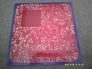 PSYCHEDELIC UNKNOWNS Various Artists 1979   CALICO RECORDS  near mint