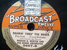 MARIUS B WINTER Roamin' Through The Roses/ Sunny Days (BOWLLY) (E+) Top copy