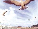 Masayoshi Takanaka | Clear Sky Blue Vinyl LP | Seychelles  |