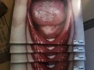 Olivia Rodrigo Guts (Spilled) Zoetrope Foil Blood Records LIMITED EDITION Rare