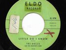THE TRI-DELLS 45RPM '60 ELCO LITTLE DO I KNOW/BABY I LOVE YOU SOO DOO WOP VG