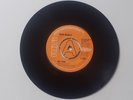fresh maggots - car song / what would you do  demo / promo psychedelic folk rock