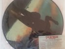 Stevie Ray Vaughan Couldn't Stand The Weather Picture Disc Epic