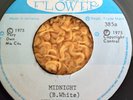 WILLIE LINDO MIDNIGHT 7 INCH SINGLE 1975 REGGAE SOUL DUB ORIGINAL FIRST PRESSING