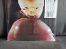 Arca &&&&& Vinyl LP PAN Experimental Bjork