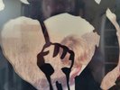 Rise Against Endgame vinyl album die cut cover
