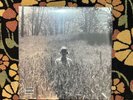 Taylor Swift Folklore “in The Weeds” Marbled - Sealed - Made In France