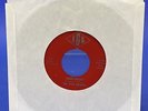 The Dark Knights 'Dark Knight / Send Her To Me' 1966 Iowa Garage 45 VG-