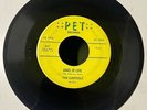 The Capitols 1958 DOOWOP 45 Angel Of Love / Cause I Love You PET Orig Mint- HEAR