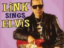 LINK WRAY Link Sings Elvis *SEALED* Vinyl LP 10