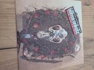 Böhse Onkelz Ich Bin In Dir  7 Single Lp Top Zustand