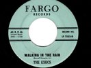 NYC DOOWOP-EXECS-WALKING IN THE RAIN/PALLADIUM-FARGO 1055