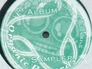 Vinyl 2x12