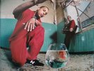 Disiz La Peste Le Poisson Rouge - LP 33T x 3
