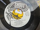 FREE FOR ALL - PHILLIP MITCHELL - SHOUT DEMO