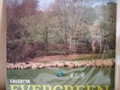 CALCUTTA - Evergreen - Green First Print LP AUTOGRAPHED  NEW