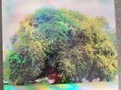 Yo La Tengo - Fade 2013 Matador Deluxe LP + 7