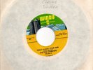 Five Stairsteps (The):Don't waste your time/You waited too long:US Windy C:1966