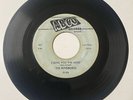 Rip-Chords DOO WOP 45 I Love You The Most / Let’s Do The Razzle ABCO VG+++ HEAR