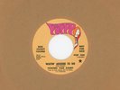 TOWNES VAN ZANDT - Waitin' Around To Die - Poppy - Folk Promo 45 - NM