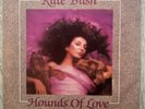 KATE BUSH 