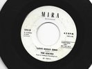 GARAGE PUNK  45 - LEAVES - TOO MANY PEOPLE / LOVE MINUS Z - HEAR-1965 PROMO MIRA