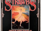 STRAWBS - Grave New World (w/Booklet) (1972) - 12