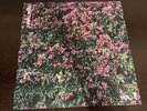 Aly & AJ Sanctuary Vol 1 Hothouse Vinyl