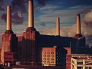 PINK FLOYD ANIMALS     - REMASTER VINYL LP  *NEW & SEALED*