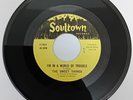 THE SWEET THINGS - I`M IN A WORLD OF TROUBLE / BABY`S BLUE - US ( REPRO )