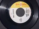 45 Barbara Lynn 