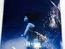 The Marias - Submarine Water Cover Opaque Blue Jay Exclusive Vinyl - In Hand